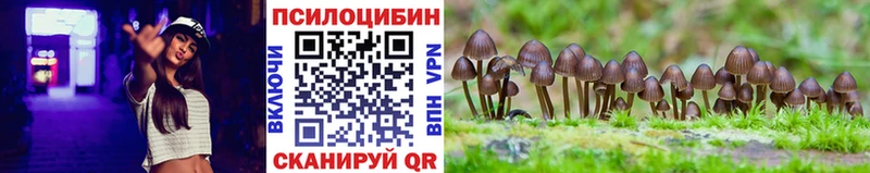 Галлюциногенные грибы Psilocybe Краснокаменск
